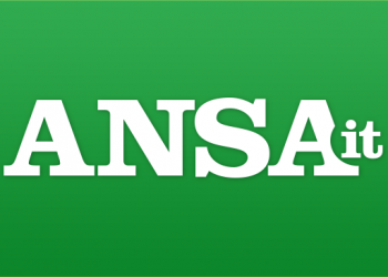 Online portale contro le fake news