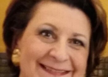 «La digitalizzazione sta funzionando, ma il Governo non dimentichi le categorie professionali»