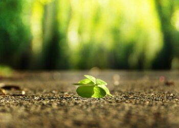 Desiderio di tornare alla vita pre-pandemia