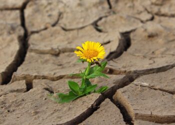 L’Istat vede segnali di ripresa in Italia