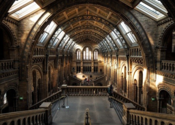 Cultura: gli assessori delle grandi città propongono un’alleanza con il governo