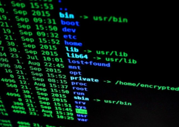 Comune di Conflenti: diffusione illecita di dati personali con l’impiego di strumenti digitali