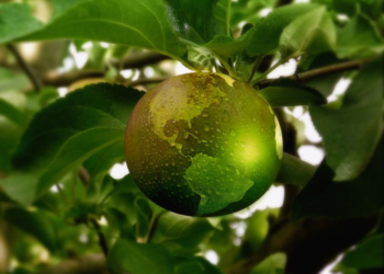 Tutto pronto per la Giornata mondiale dell’Ambiente (sabato 5 giugno)