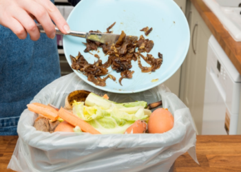 FOOD WAVE E FUTURE FOOD INSTITUTE INSIEME PER PROMUOVERE PRATICHE SOSTENIBILI DI CONSUMO E PRODUZIONE DI CIBO