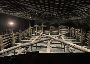 EMILIA ROMAGNA: A NOCETO (PR) NASCE IL MUSEO DEDICATO ALLA VASCA VOTIVA