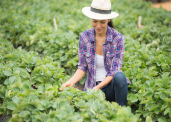 LOMBARDIA, NEL PRIMO SEMESTRE 2021 È CRESCIUTO DEL 12% L’EXPORT AGROALIMENTARE