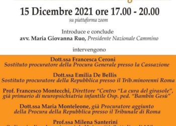 VIOLENZA ASSISTITA E IDONEITA’ GENITORIALE: IL 15 DICEMBRE IL WEBINAR NAZIONALE DI CAMMINO