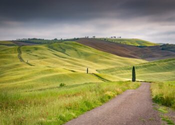 1,6 MILIONI IN ARRIVO PER MIGLIORARE IL TRATTO EMILIANO DELLA VIA FRANCIGENA