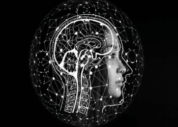 L’INTELLIGENZA ARTIFICALE PREVEDE L’INTERPRETAZIONE DELLE NOTIZIE