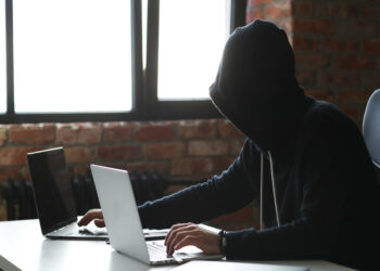 PIG BUTCHERING, LA NUOVA TRUFFA CINESE CHE MINACCIA GLI UTENTI