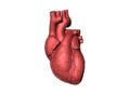 STAMPA 3D DEL CUORE PER TESTARE LE CURE
