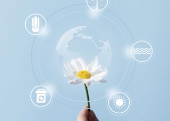 SOSTENIBILITA’ DIGITALE, UNA GUIDA PER LE AZIENDE CHE INVESTONO ALL’ESTERO