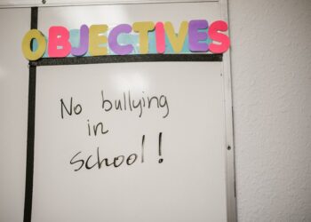 IL REFERENTE SCOLASTICO CONTRO IL CYBERBULLISMO