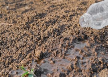 PER IBM È POSSIBILE COMBATTERE LA SICCITÀ CON CLOUD E INTELLIGENZA ARTIFICIALE