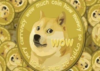 LE MEMECOIN E IL LORO SUCCESSO