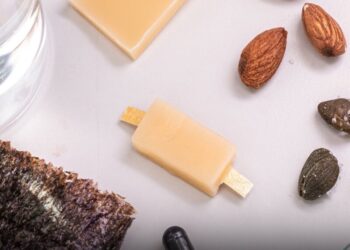 L’ITALIA INVENTA LA PRIMA BATTERIA COMMESTIBILE