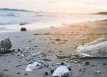 TECNOLOGIA BLOCKCHAIN PER RIPULIRE GLI OCEANI