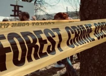 FEMMINICIDI E SPETTACOLARIZZAZIONE