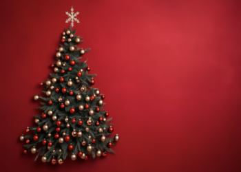 LA PRIVACY ANCHE A NATALE