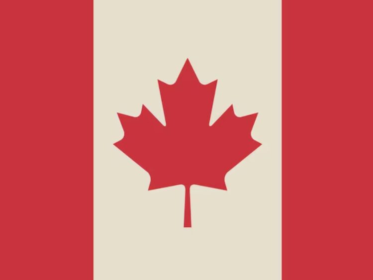 TIKTOK E IL GOVERNO CANADESE