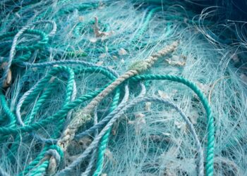 I CAVI SOTTOMARINI, TALLONE D’ACHILLE DEL MONDO DIGITALE. MA I SATELLITI NON POSSONO SOSTITUIRLI