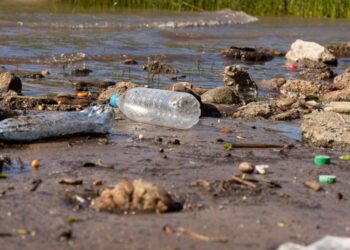 RIPULIRE I FIUMI ITALIANI GRAZIE ALL’IA